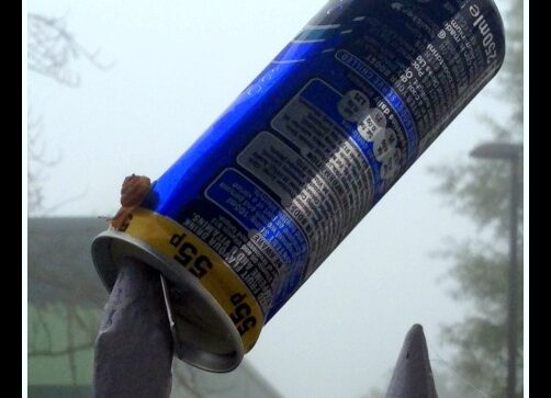 Silent Sunday 29/09/2013